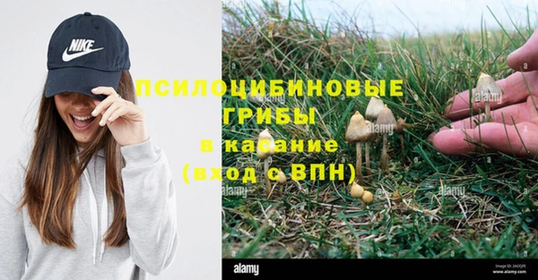 ПСИЛОЦИБИНОВЫЕ ГРИБЫ Иннополис