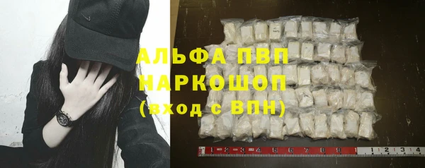 ПСИЛОЦИБИНОВЫЕ ГРИБЫ Иннополис