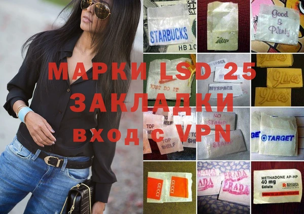 ПСИЛОЦИБИНОВЫЕ ГРИБЫ Иннополис
